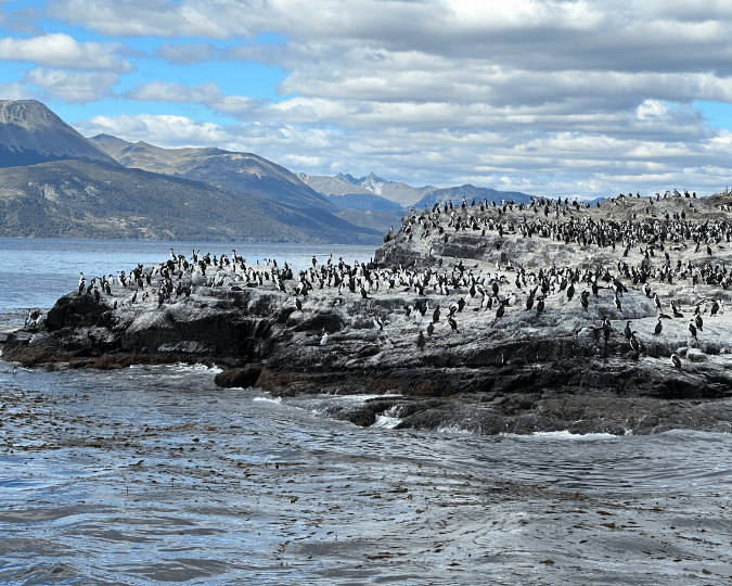 NAVEGACI&Oacute;N CANAL BEAGLE - USHUAIA