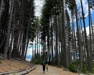 BARILOCHE - ISLA VICTORIA