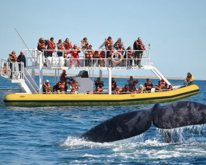 SUBMARINO - PUERTO MADRYN