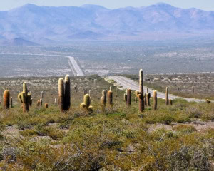 SALTA