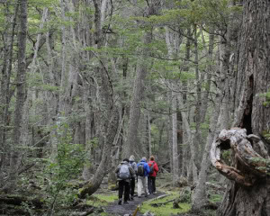 ISLA GABLE - USHUAIA