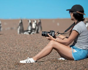PENINSULA VALDÉS - PUERTO MADRYN