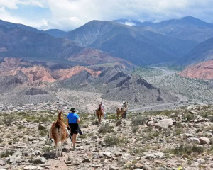 TILCARA - JUJUY