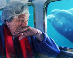 SUBMARINO - PUERTO MADRYN