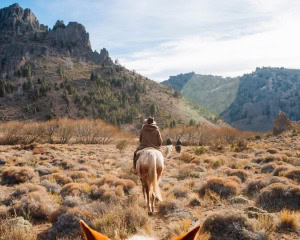 CABALGATA - BARILOCHE