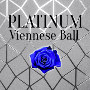 Platinum Viennese Ball Dance Partner Package