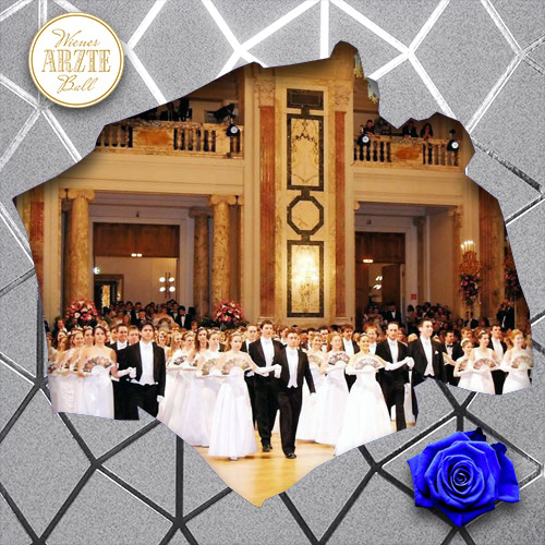 Vienna Medical Doctor's Ball - Hofburg Imperial Palace