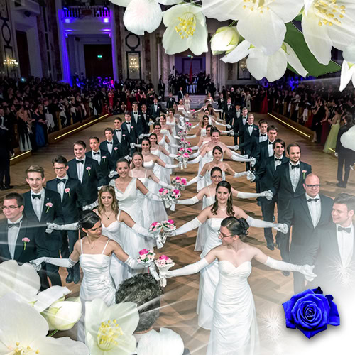 Viennese Ball Opening