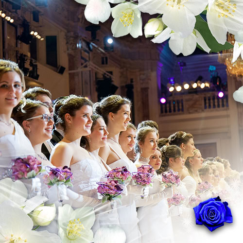 Viennese Ball Opening