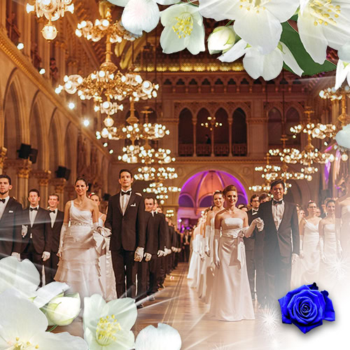 Viennese Ball Opening