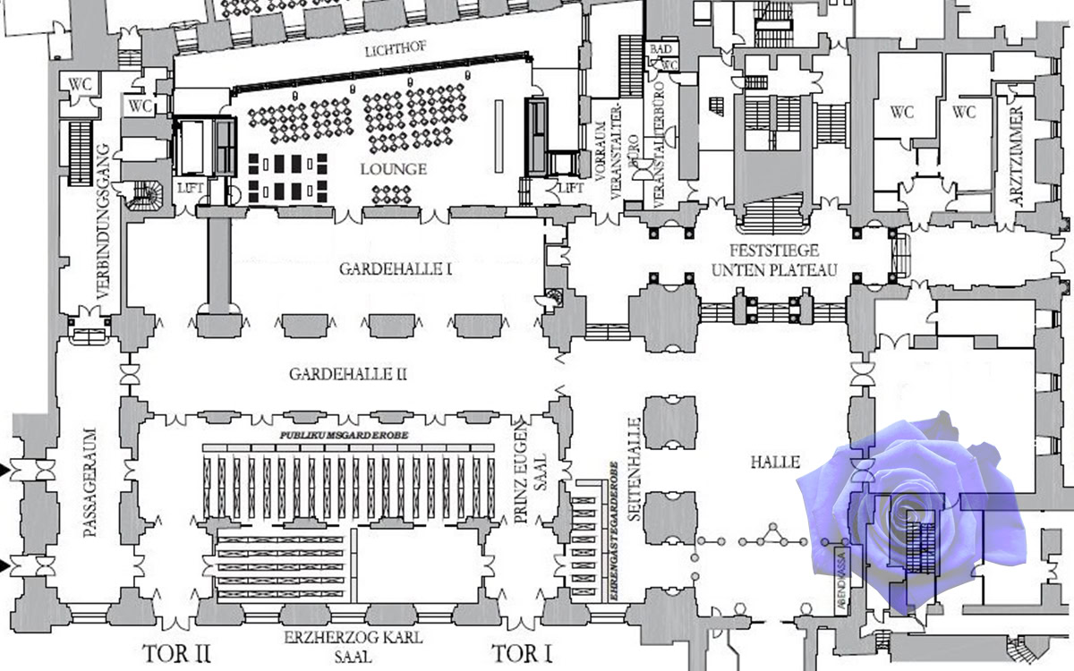BlueRose Gentlemen Guide für die Hofburg Gesamtpaket Ballbegleitung