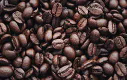 Curtis Coffee Maker: The Key to the Perfect Brew