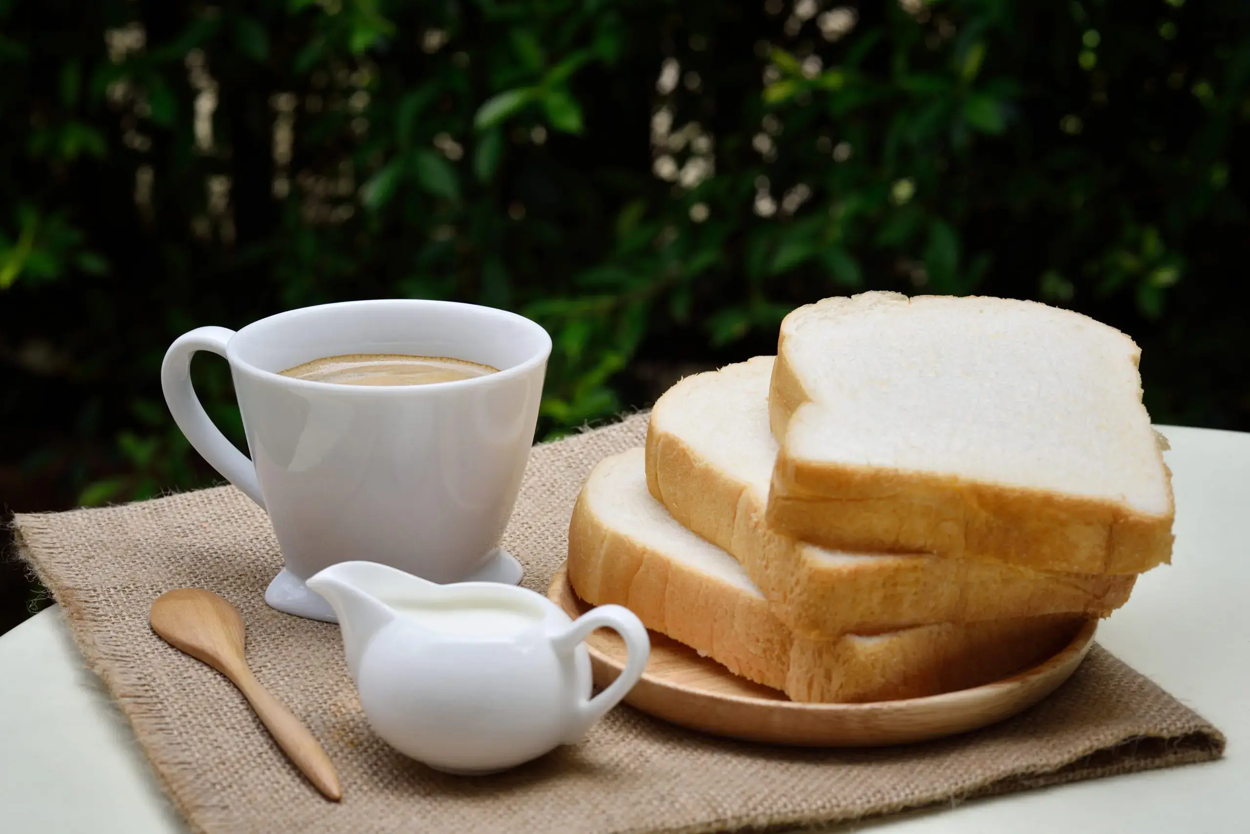 Bread Maker with Stainless Steel Pan