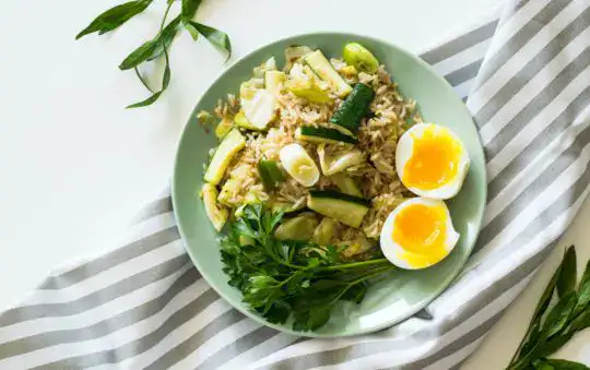 Best 10 Cup Rice Cooker for Large Family Meals