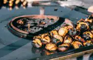 Best Pans for a Gas Stove: Top Picks for Perfect Cooking
