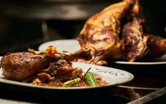 Oval Roaster vs Dutch Oven: Pick Your Winner!