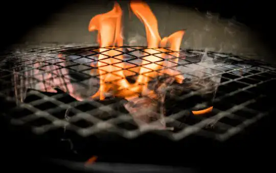 Homaz Life Cookware Reviews: Unbiased Analysis