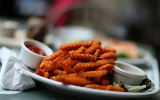 Gourmia 8 Qt Air Fryer Reviews: Unbiased Analysis