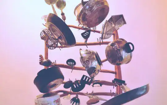 Cosori or Ninja Air Fryer: Making the Right Choice