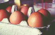 Best Tamago Pan: Top Picks for Perfect Japanese Omelettes