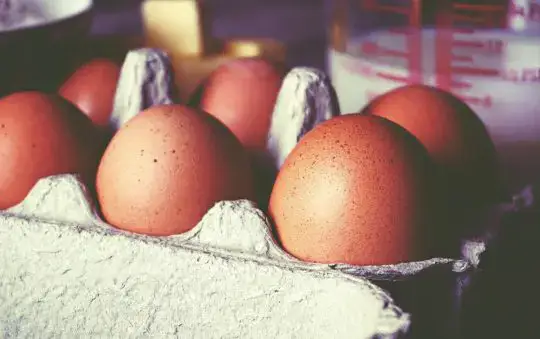 Best Tamago Pan: Top Picks for Perfect Japanese Omelettes