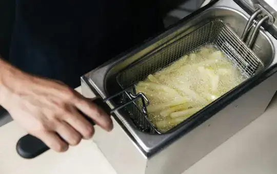 Mastering Gourmia Air Fryer Cleaning Tricks