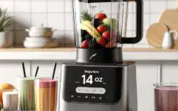 Top Reasons to Choose the Hamilton Beach 14oz Single Serve Blender for Your Smoothies