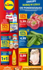 gazetka lidl od poniedziałku 10 06