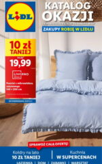 gazetka lidl katalog okazji