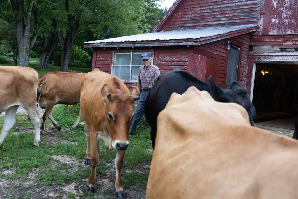 The Extinction of Mid-Size American Farms Hurts You