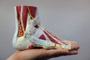 Foot Doctor Ankle Pain 1 The Best Foot Doctor Ankle Pain Product Reviews: Home Treatment 2020!