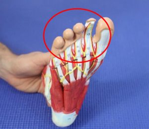 Middle toe pain 15 Middle Toe Pain: Causes, Symptoms & Best Home Treatment