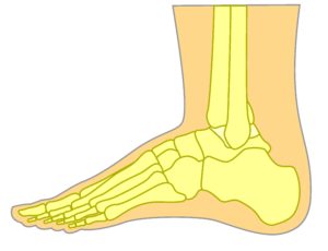 Foot Doctor Top Foot 5 Top of the foot bruising