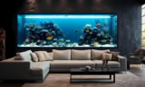 בניית אקווריום: 4 חברות בניית אקווריום מומלצות לשנת 2025