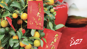 Chinese New Year 2027 – time to prepare