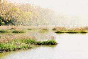Mount Pleasant, SC