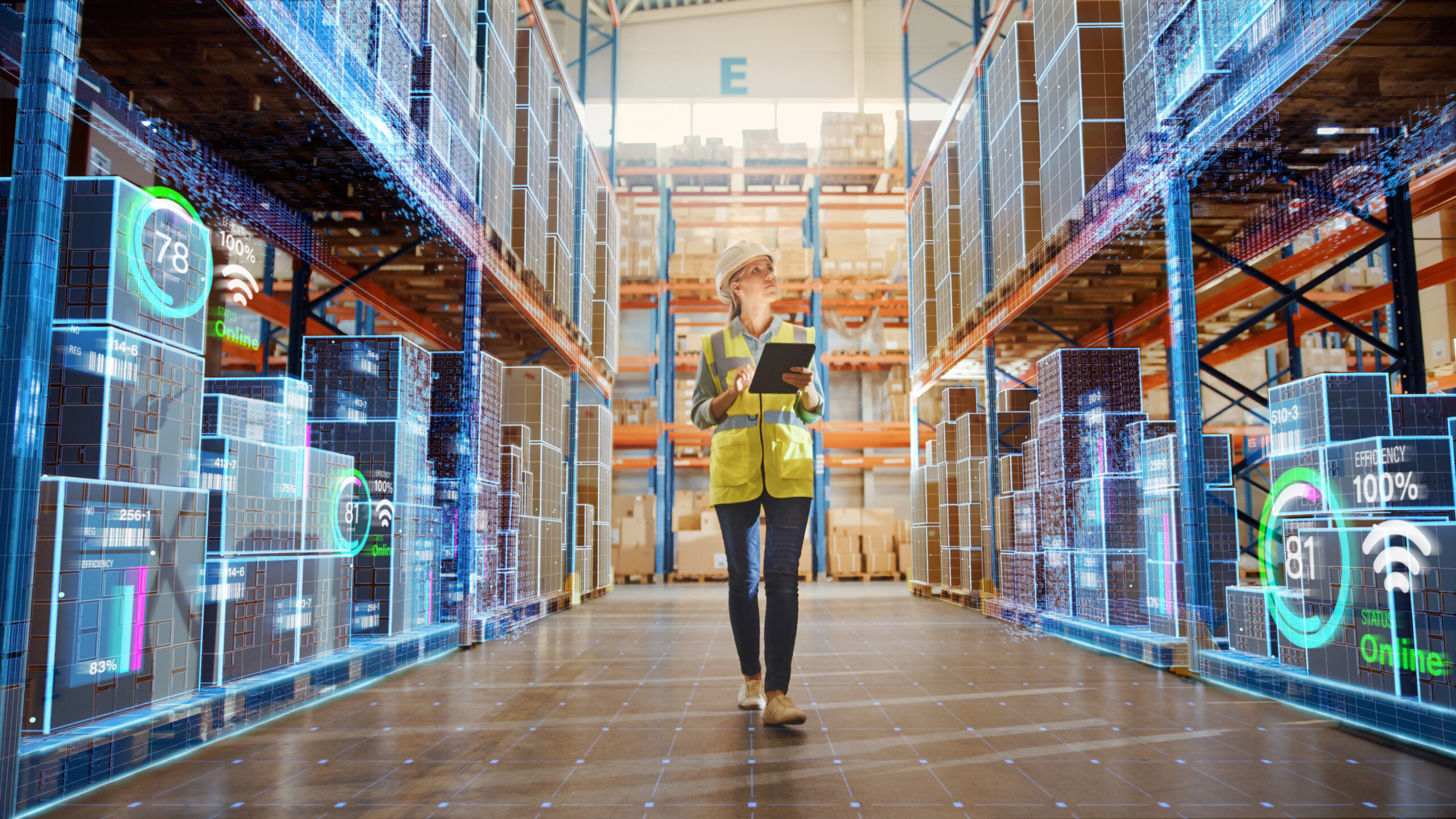 Logistics Houston - Warehouse - Storage - Container Packing and Loading