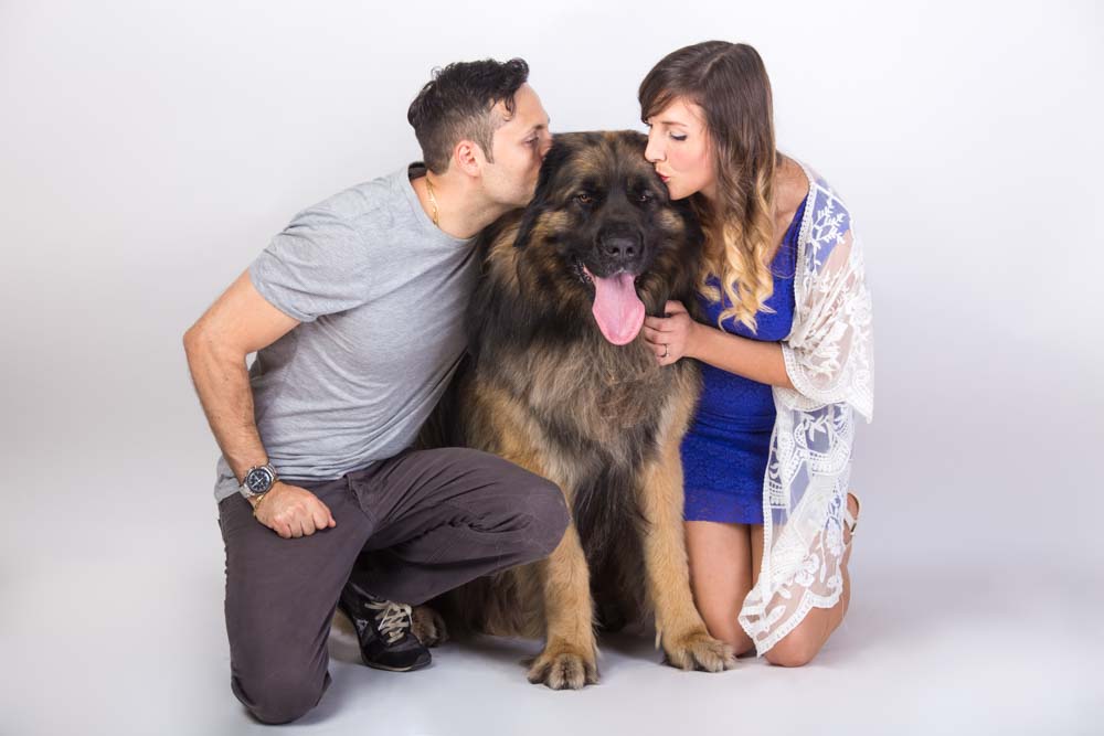 servizi fotografici con cani roma