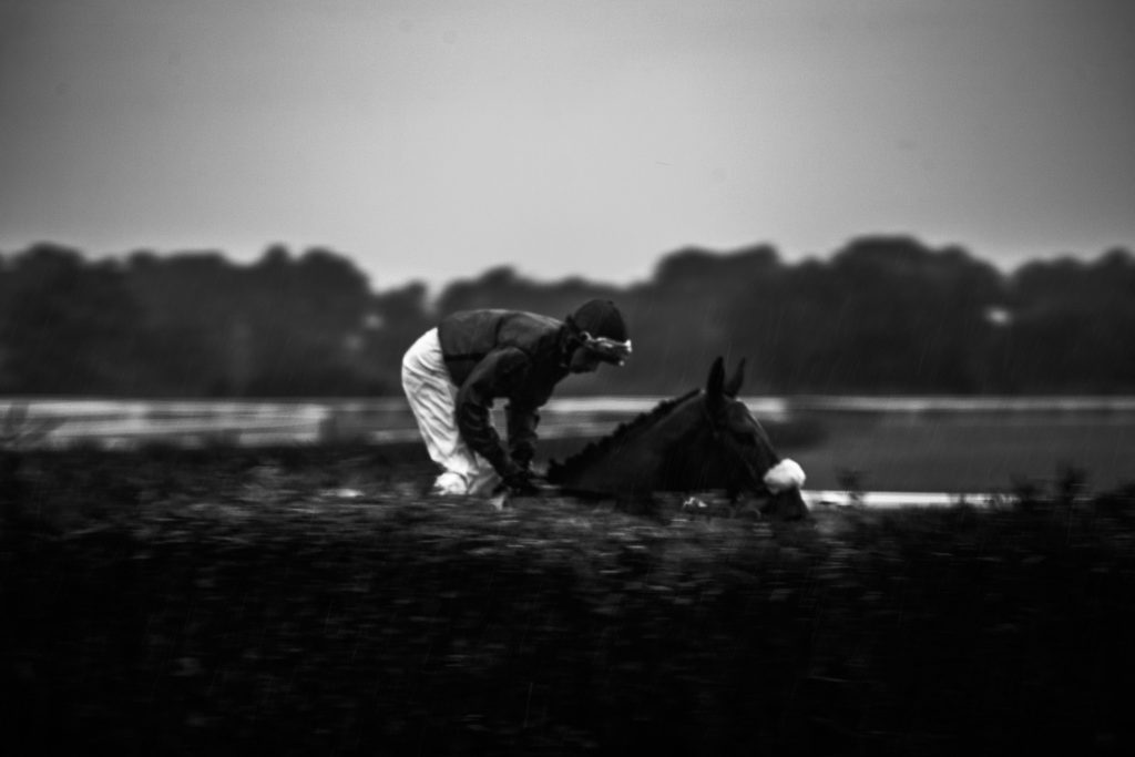 fotografo sportivo cavalli