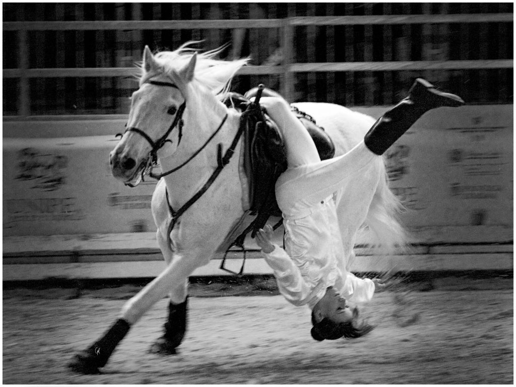 foto cavalli roma
