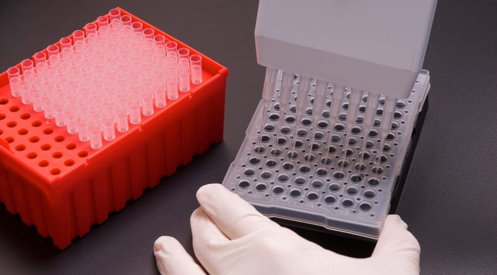 Nelson Labs assay test being performed