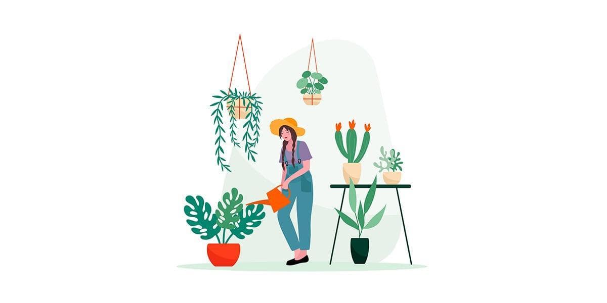 Beginners guide to gardening: Basic care II