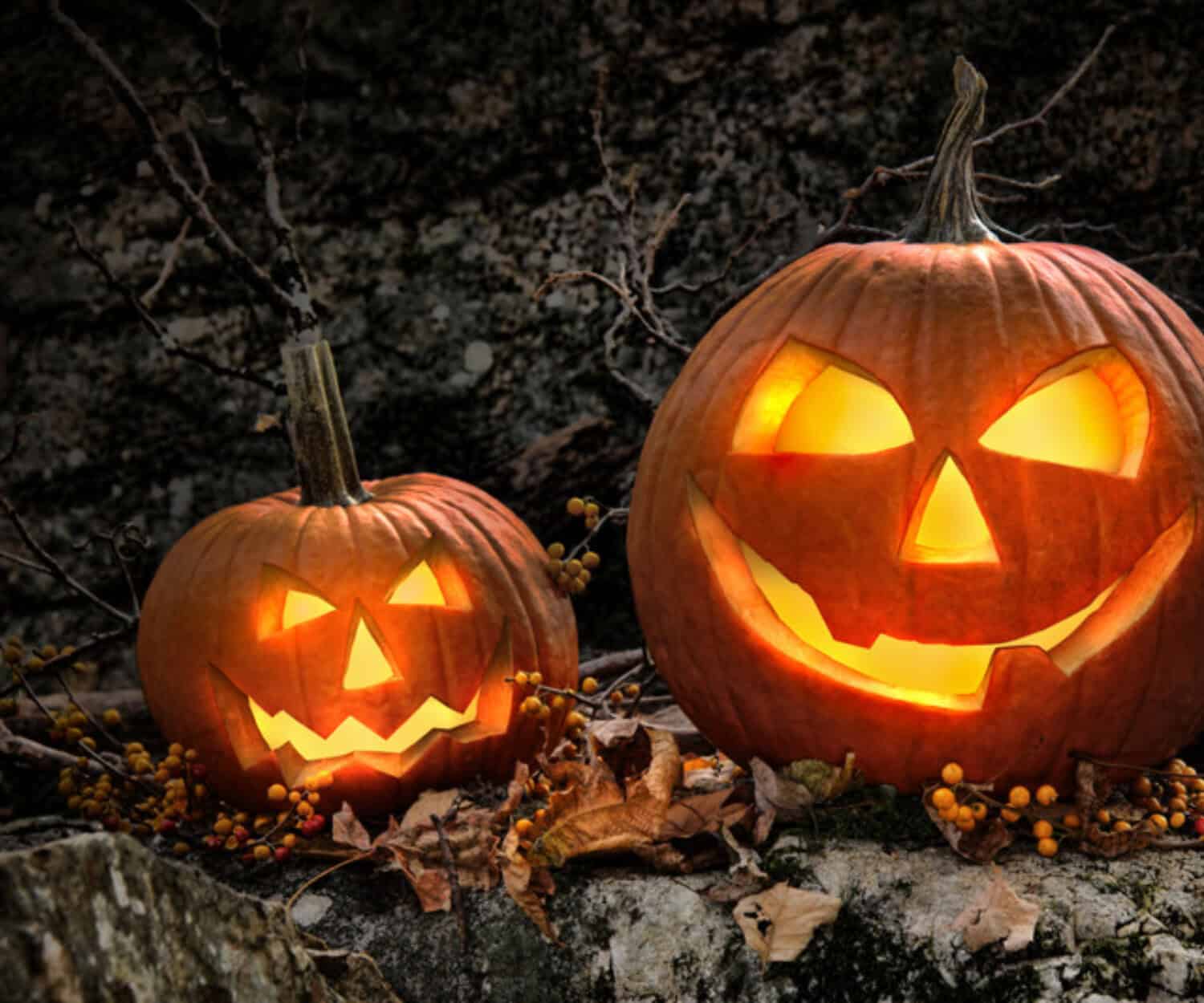 Jack o'lanterns
