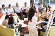 De projectorganisatie: stuurgroep, projectgroep, werkgroep