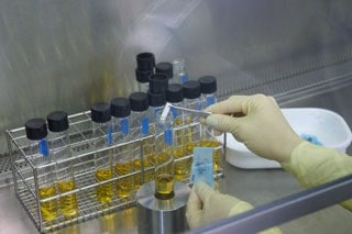 Biological Indicator Sterility Testing