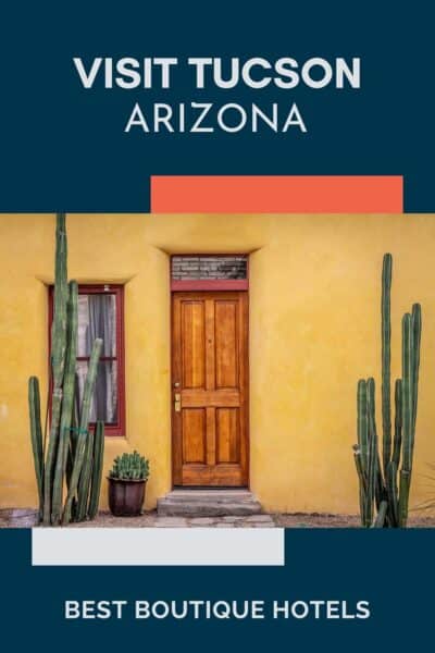 Muted yellow house wall with two cactus.