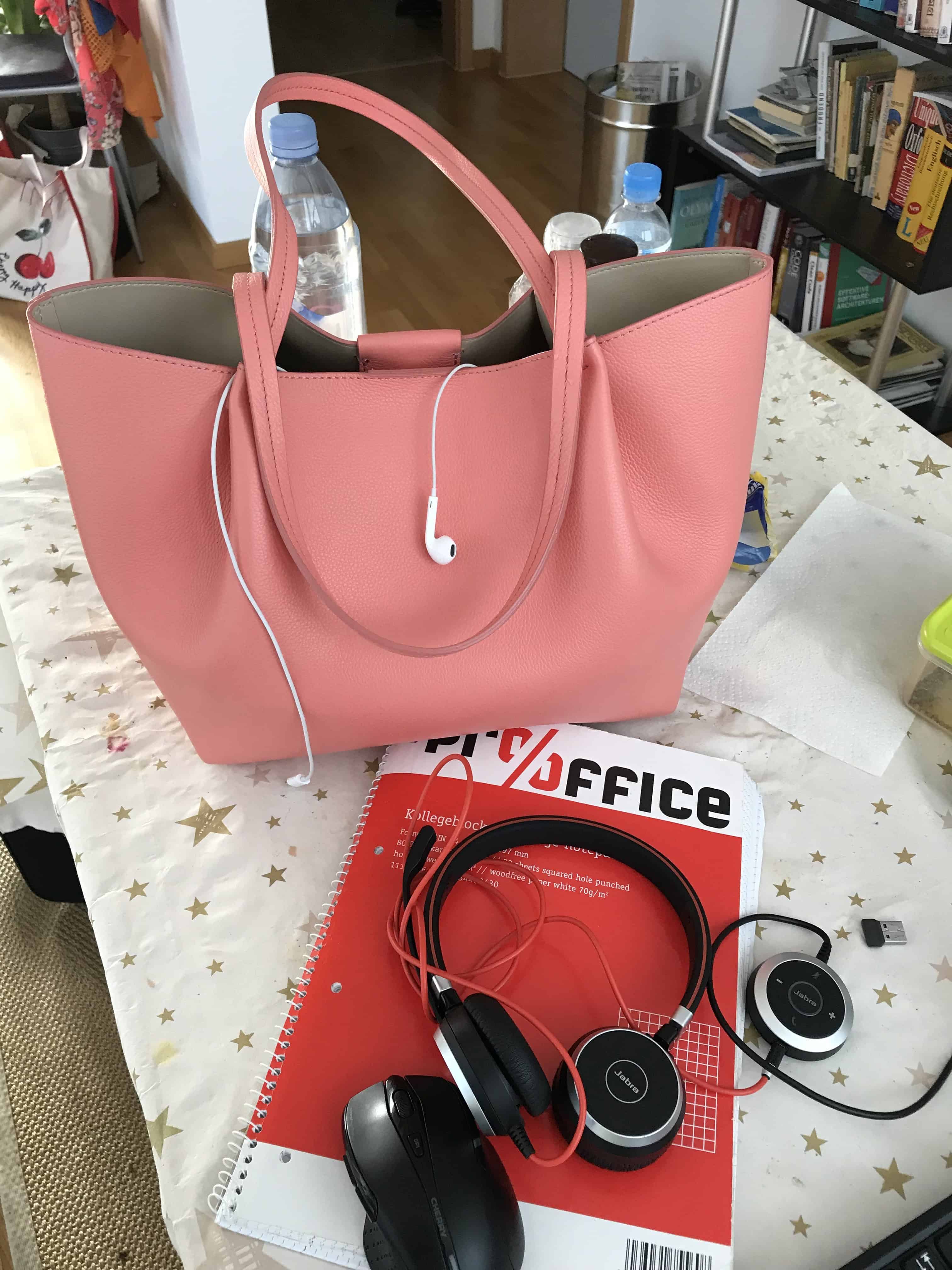 The Dilemma of the Perfect Bag 2