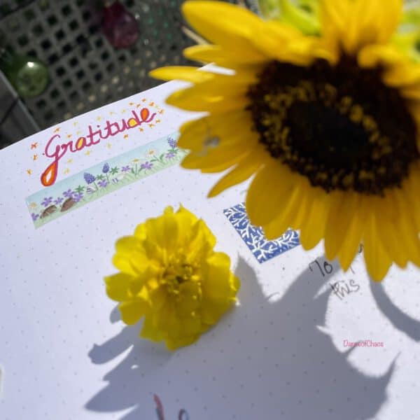 Bullet Journaling and Gratitude: How to Make Journaling a Habit