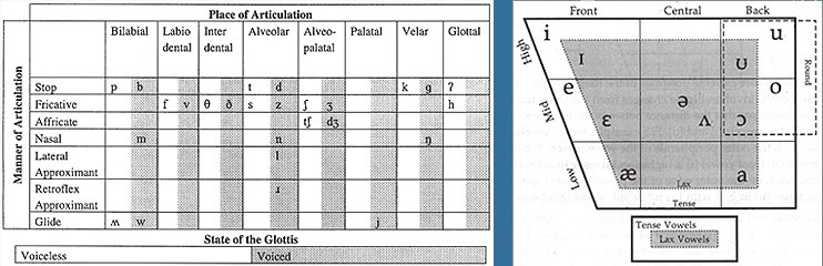 IPA: A Roadmap for Accent Reduction