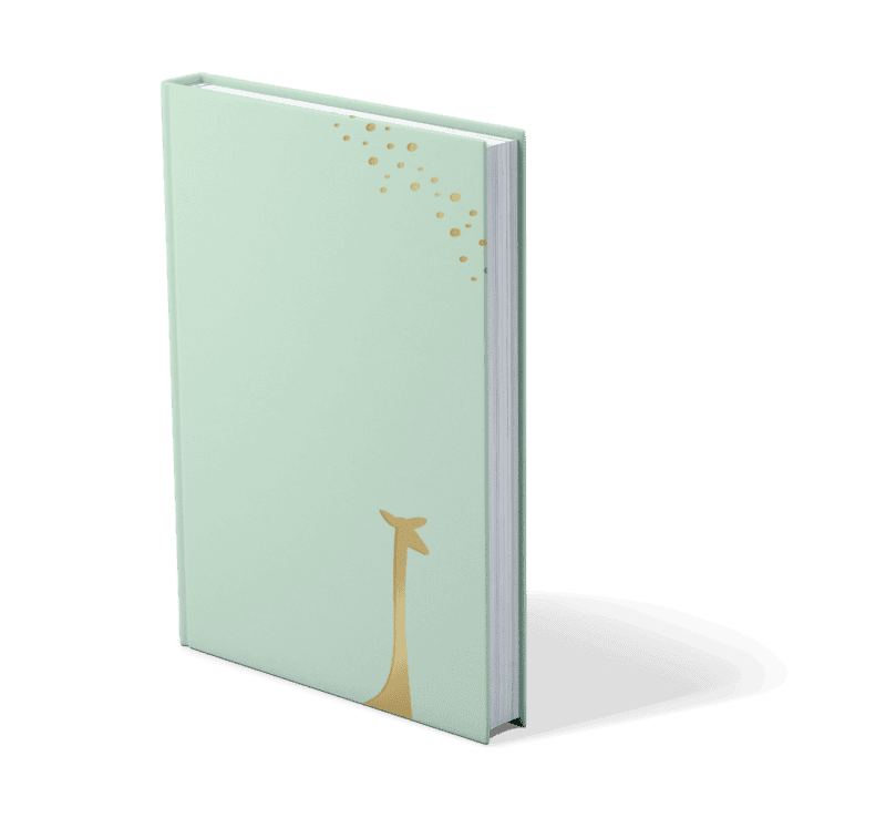 B5 Mint Journal Mindful Giraffe